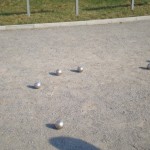 Petanque1.jpg