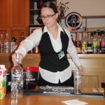 barmansky-kurz-2010-005.jpg