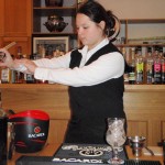 barmansky-kurz-2010-017.jpg