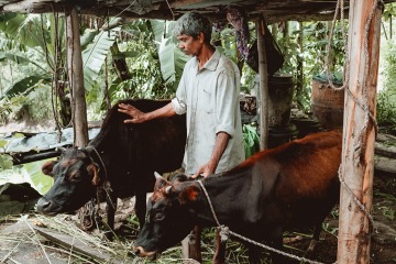 Sbírka na krávu pro farmáře ze Srí Lanky