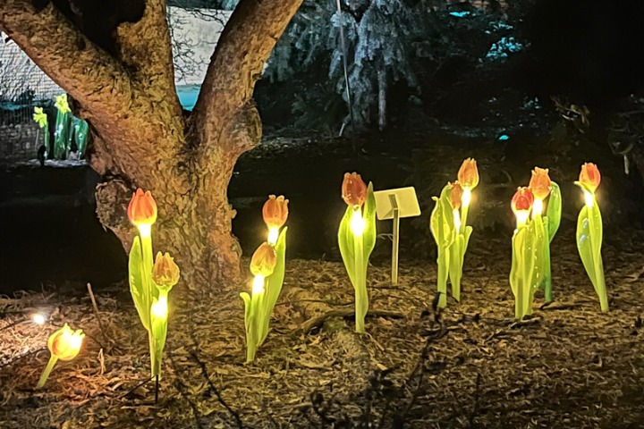 Kouzelný výlet DM do botanické zahrady 