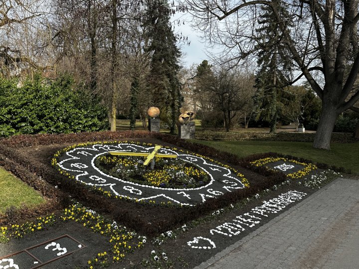 20260309_084119223_iOS