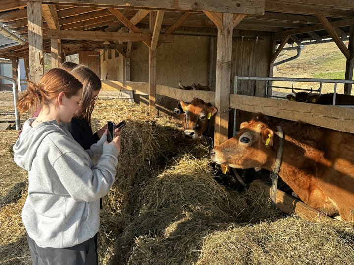 20260310_140540339_iOS