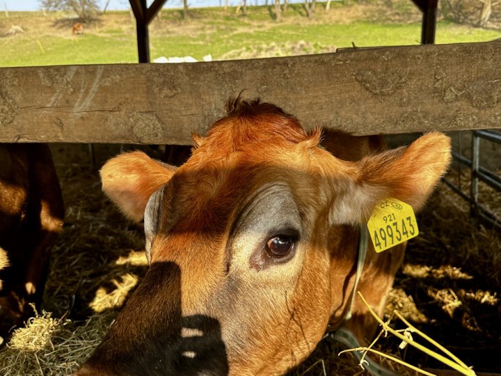 20260310_140601171_iOS