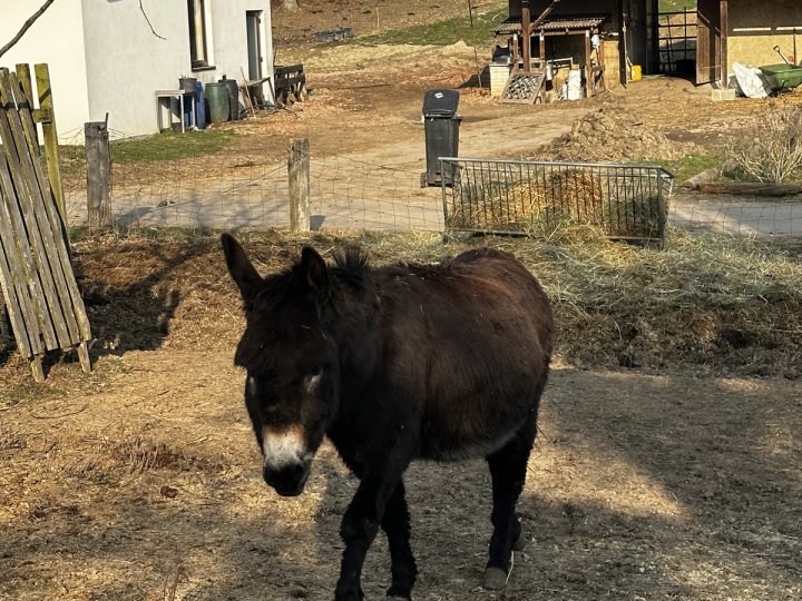 20260310_141646920_iOS