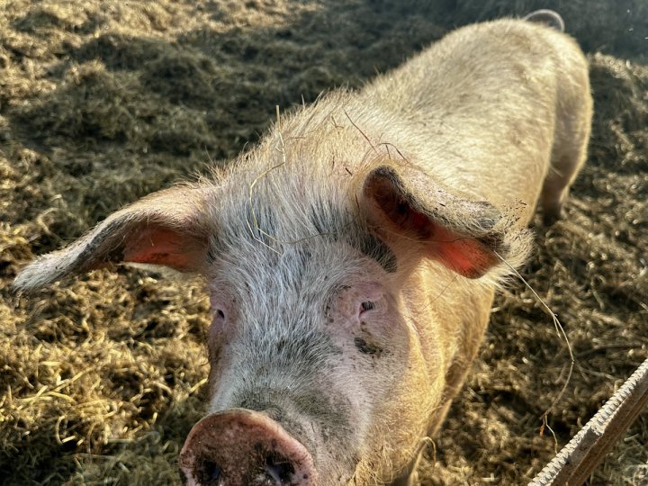 20260310_141806458_iOS