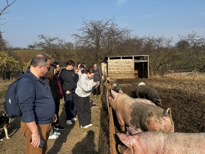 20260310_141943757_iOS