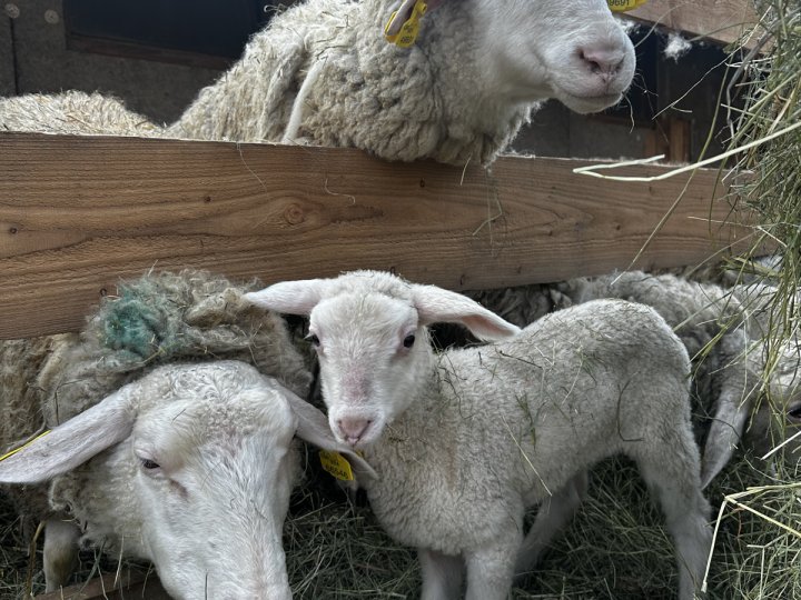 20260310_143045006_iOS