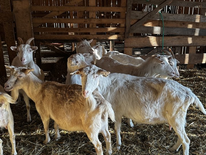 20260310_145307762_iOS