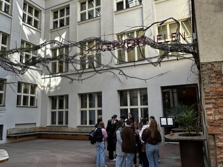 20260311_120255824_iOS