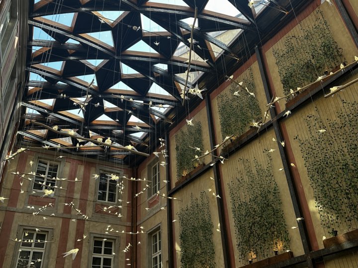 20260311_123409075_iOS