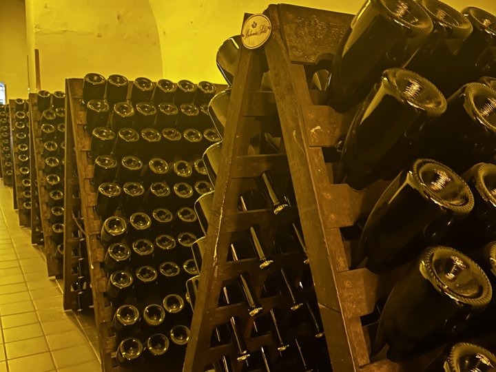 20260312_100315817_iOS