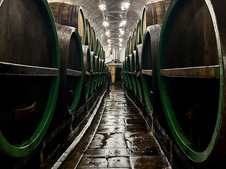 20260312_125554117_iOS